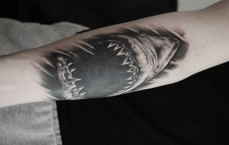 82 Mejores Tatuajes de Tiburones con Significados 4