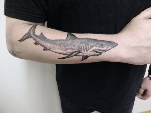 82 Mejores Tatuajes de Tiburones con Significados 16