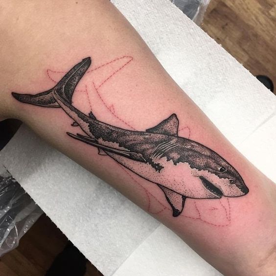 82 Mejores Tatuajes de Tiburones con Significados 66